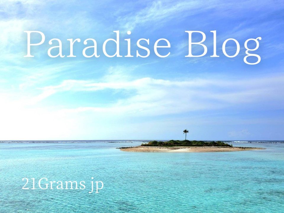 paradise blog